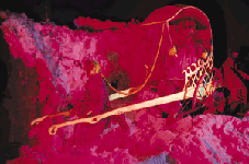 Rikscha.3.GIF
