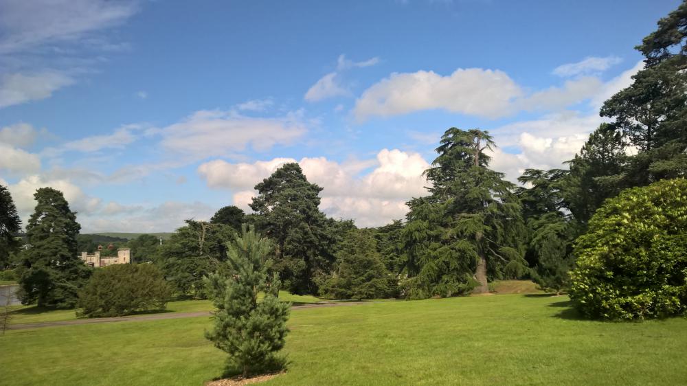 WP_20150722_15_51_39_Pro__highres.thumb.