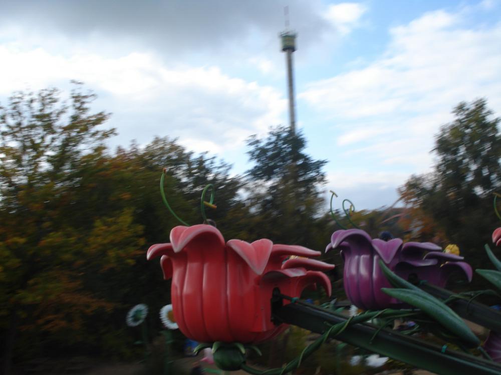 DSC09282.thumb.JPG.c965cc8e7e42c0a4b3f76