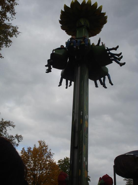 DSC09289.thumb.JPG.89571f9d2f46ace77ab45