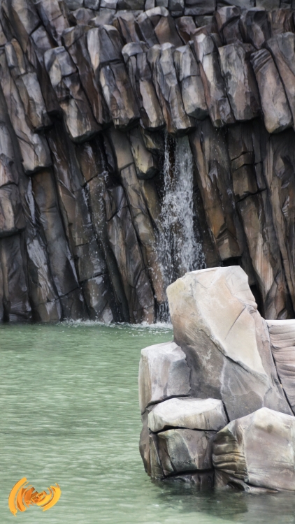 _DSC1846.thumb.jpg.80bceb20e7a572292745f