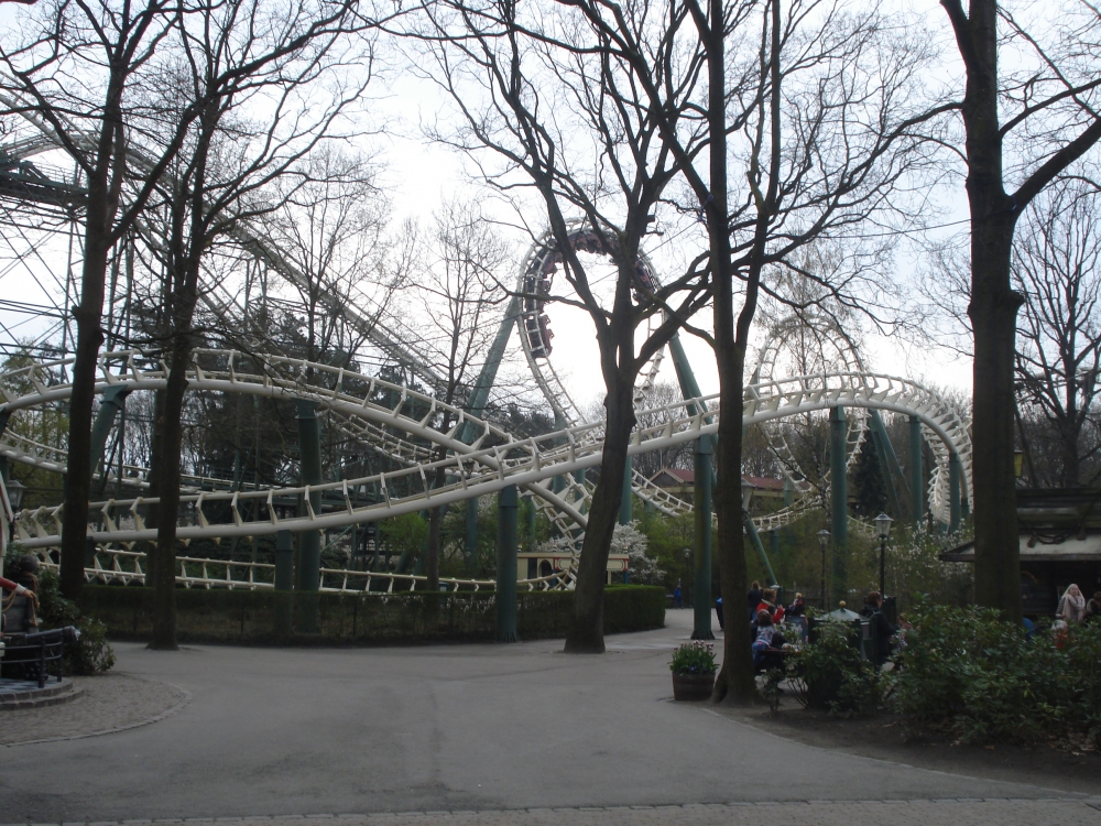 DSC00218.JPG