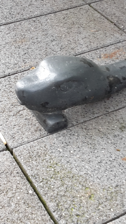 20160614_091515.jpg