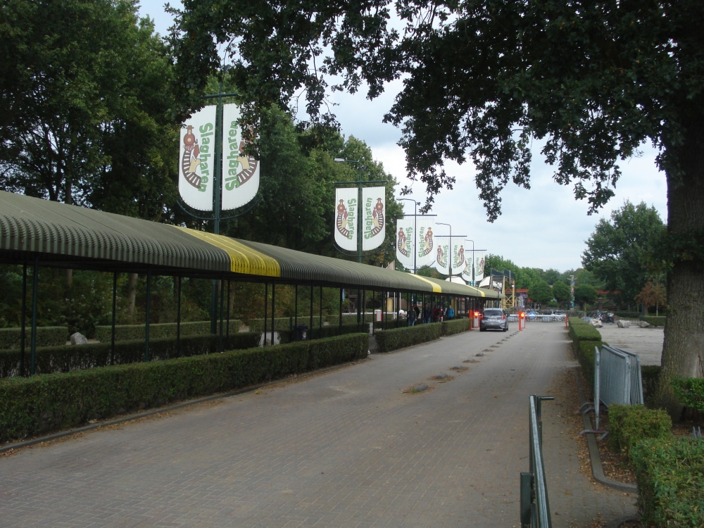 01.JPG