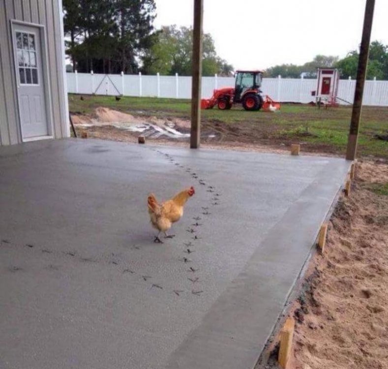 beton5.jpg