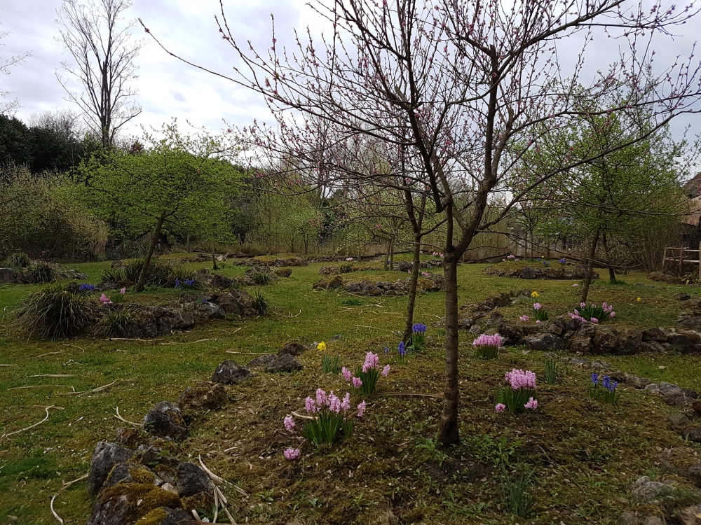 20170401_110236.jpg