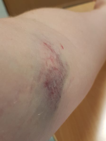 20170619_202748.jpg