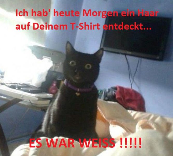 Haar2.thumb.jpg.f8234b9ea74ebf3c67ed30d252b2c45f.jpg