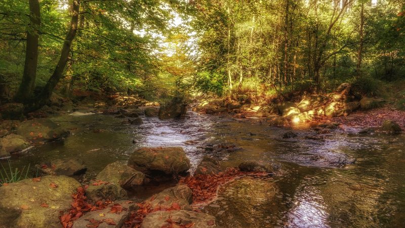 IMG_20171001_112546_HDR-01.thumb.jpeg.5b46e620d51997f43f0c6569a3d478e2.jpeg