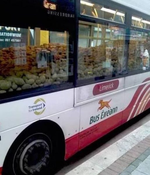 Bus.thumb.jpg.776212c25567cd54d01180ec48be7d2b.jpg