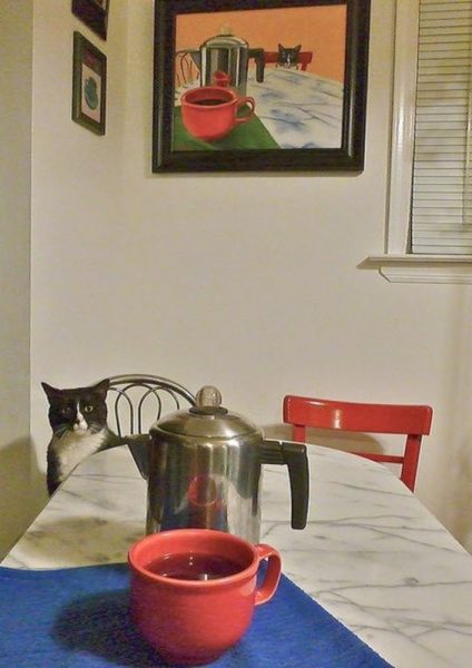 Cat14.thumb.jpg.3ce4c96759a50571dd98920e7904f26b.jpg