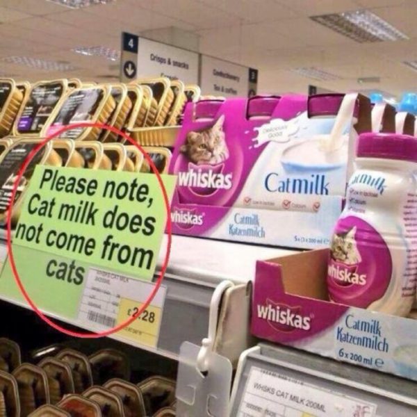 Cat26.thumb.jpg.1560b6edc8bae83cb70c4a938a3b4ccc.jpg