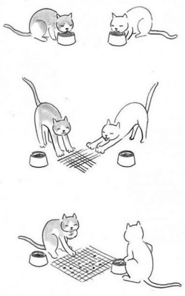 Cat51.thumb.jpg.462160828a7052b08178fd4007beb8b7.jpg