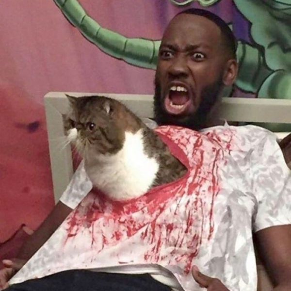 Cat60.thumb.jpg.0b5b663bc048f6e1d40b136529190ca9.jpg