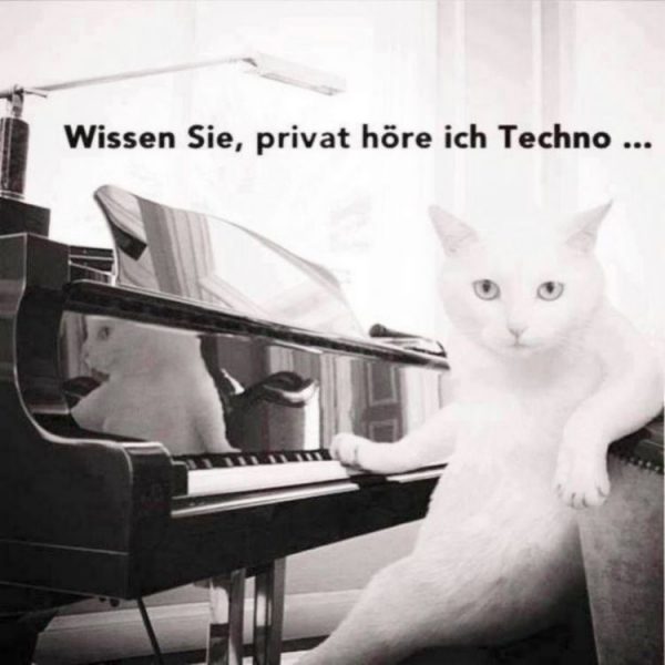 Cat67.thumb.jpg.94842d8bde07ea0eb73df182bf537e9e.jpg