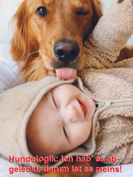 Hund.thumb.jpg.dec2efe60b4aa3cec9476b6ee3943acd.jpg