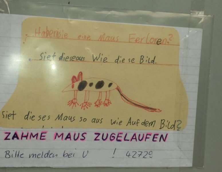Maus.thumb.jpg.a5a956b7341ae172e1f567bcabfc9323.jpg