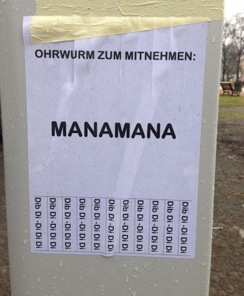Ohrwurm.thumb.jpg.eab8a40be61dff83864678f8ef201401.jpg