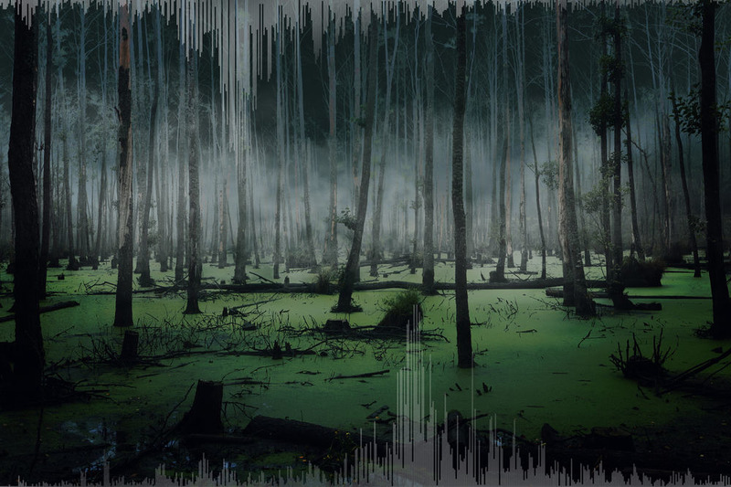 1232753456_csm_Scare-Zones_Screaming-Swamp_01_36af319a191.thumb.jpg.8b020cb42c83312067c6ff61cd83e015.jpg