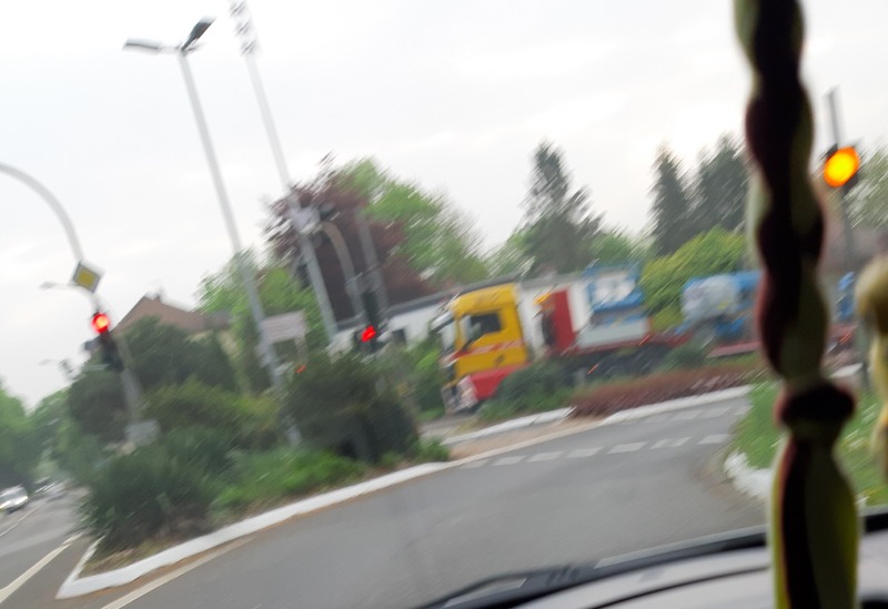 20190430_082928.jpg