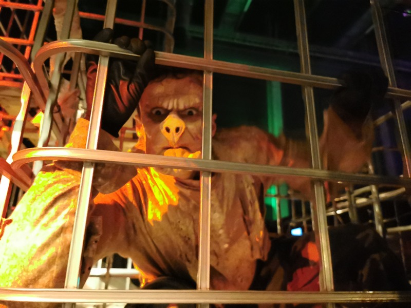 IMG_20191002_213111.jpg