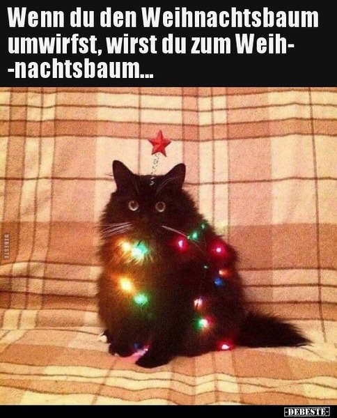 74575ab23036b8bdd6a205d8fdbe64c7.jpg