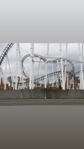 IMG_1084.PNG