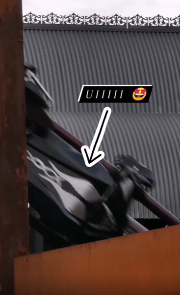 fly.thumb.png.2407c70b0abc6259a88c7c16b0bdc934.png
