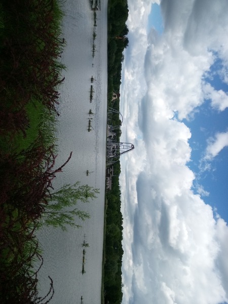 IMG_20220528_113829_768.jpg