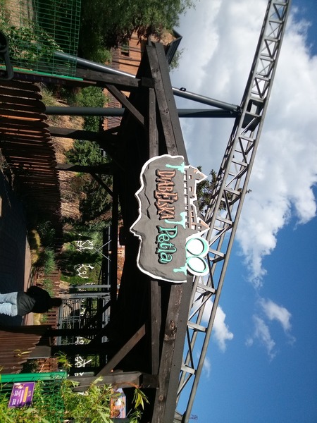 IMG_20220528_170936_043.jpg