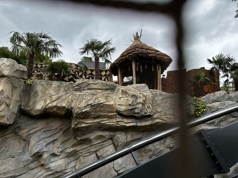 IMG_0967.jpeg