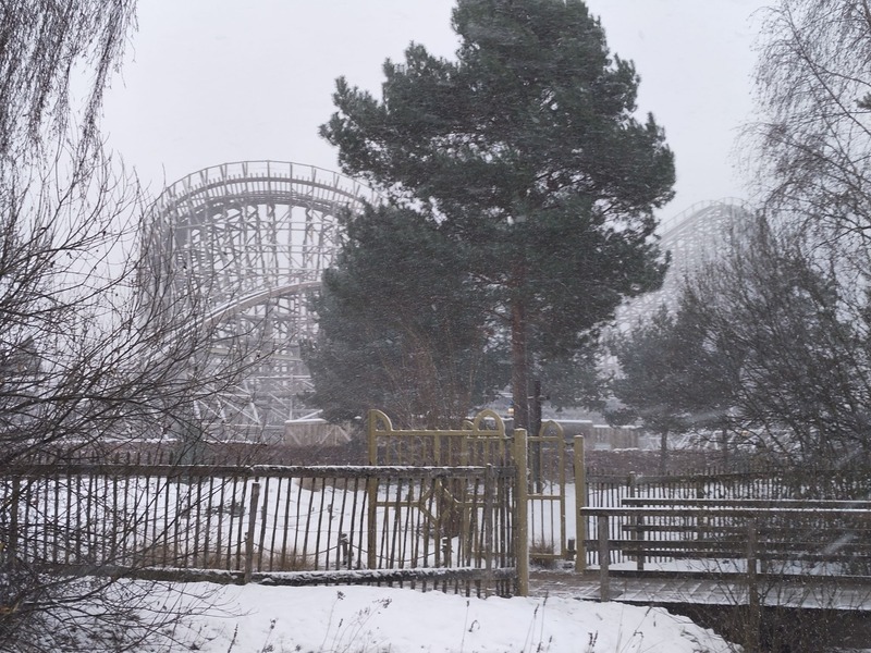 IMG_20260107_110050802 X.jpg